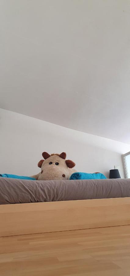Joshroom * Caux